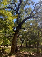 8840 Timber Ridge - Photo 8