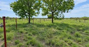 0 Hwy 190 - Photo 12
