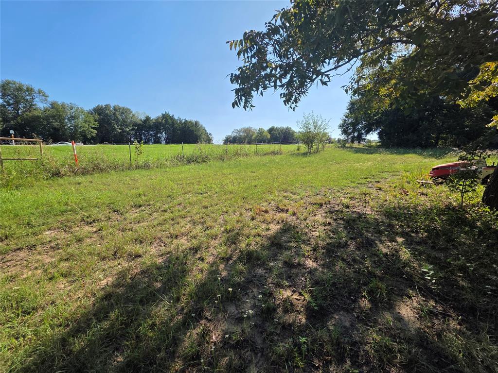 21770 W Highway 31 - Photo 8