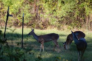 289 county road 1631 - Photo 34