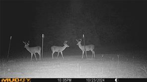 289 county road 1631 - Photo 39