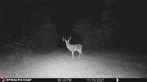 289 county road 1631 - Photo 40