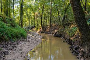 289 county road 1631 - Photo 9