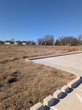 1727 N State Highway 121 - Photo 10