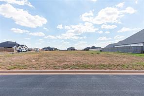 2009 Southridge Crossing - Photo 5
