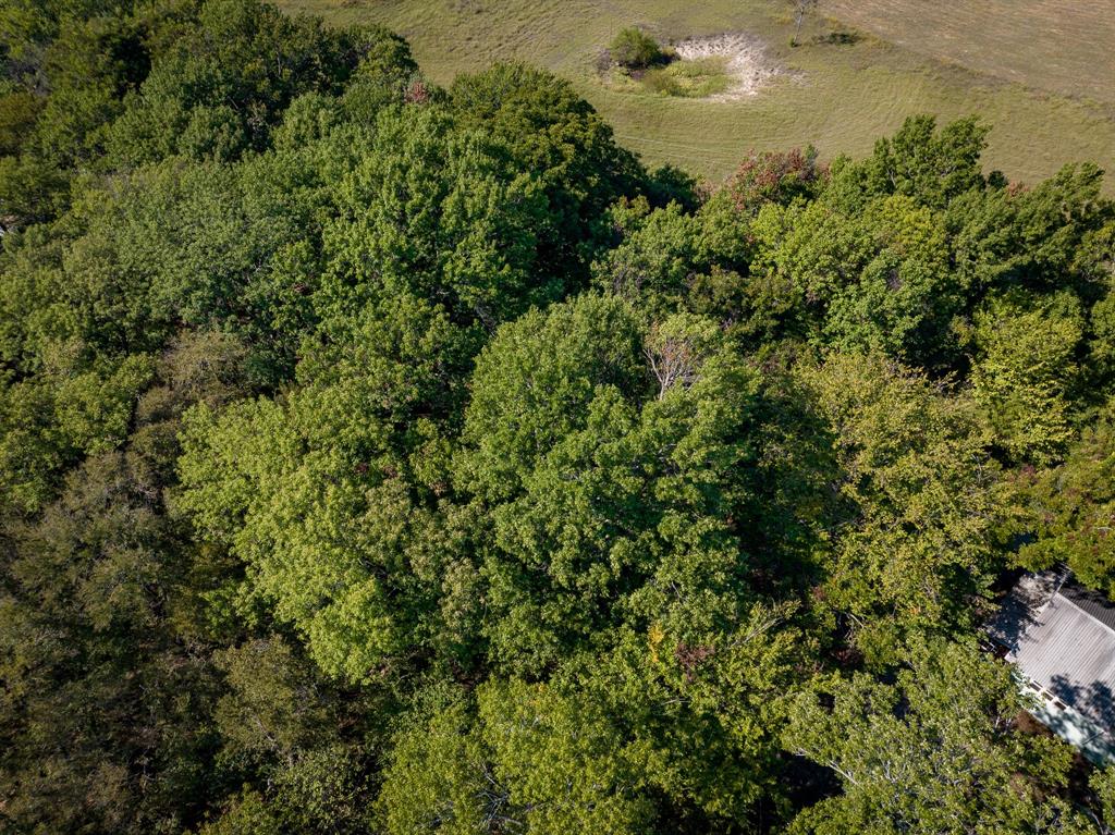 TBD County Road 568 - Photo 6