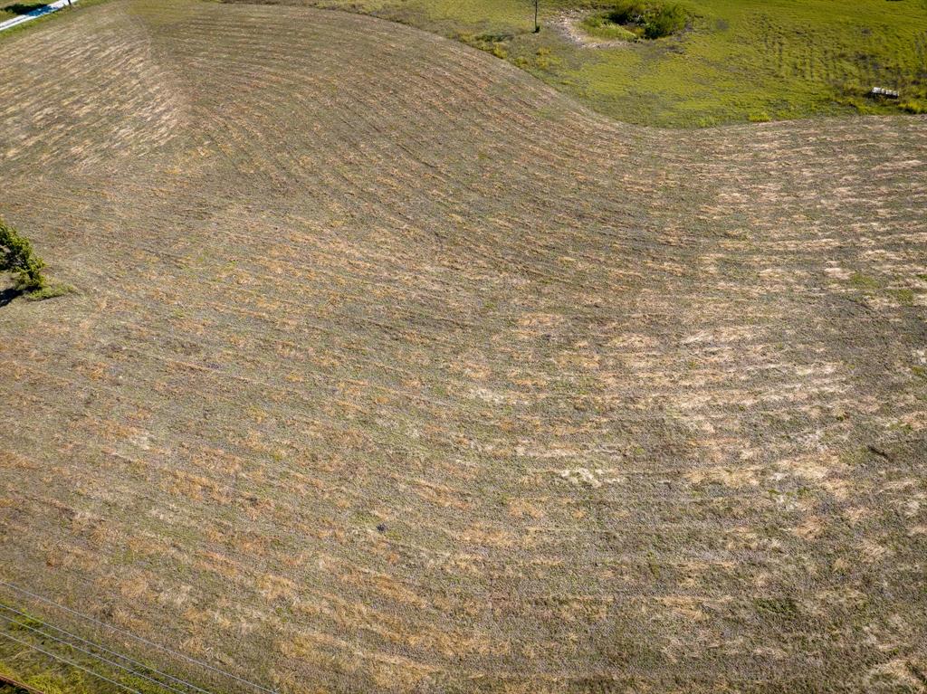 TBD County Road 568 - Photo 9