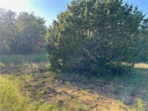 TBD864 Pitchpole Circle - Photo 10