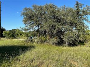 TBD864 Pitchpole Circle - Photo 12
