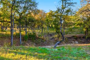 2401 Bear Creek Road - Photo 11