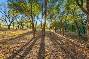 2401 Bear Creek Road - Photo 18