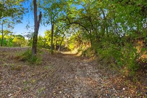 2401 Bear Creek Road - Photo 19