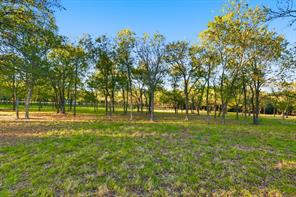 2401 Bear Creek Road - Photo 20