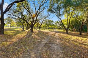 2401 Bear Creek Road - Photo 4