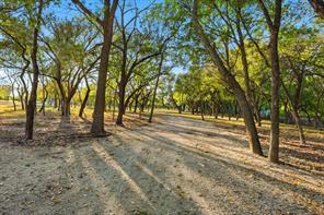 2401 Bear Creek Road - Photo 5