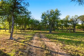2401 Bear Creek Road - Photo 7