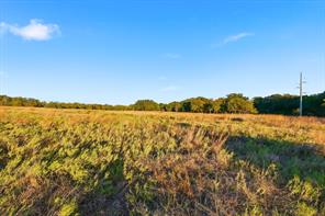 2401 Bear Creek Road - Photo 10