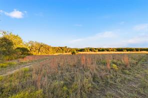 2401 Bear Creek Road - Photo 11