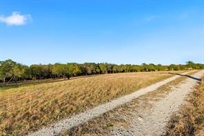 2401 Bear Creek Road - Photo 4