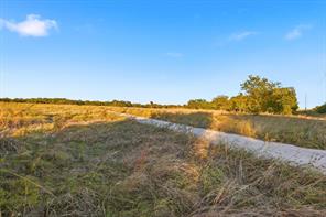 2401 Bear Creek Road - Photo 6