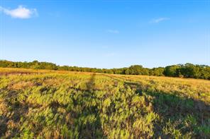 2401 Bear Creek Road - Photo 7