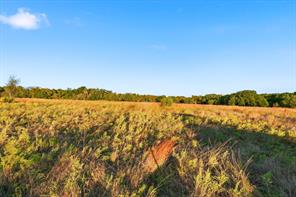 2401 Bear Creek Road - Photo 8