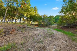 2401 Bear Creek Road - Photo 9