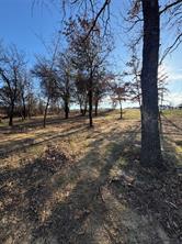 293 Zebrastone Way - Photo 8