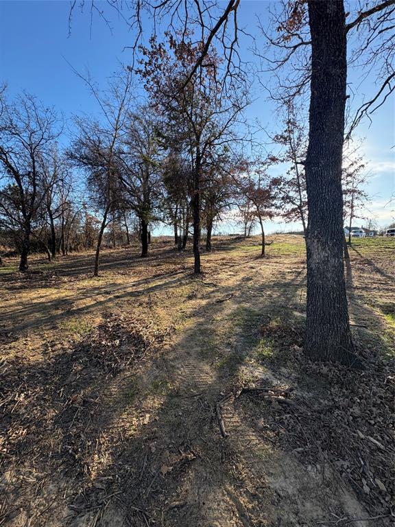 297 Zebrastone Way - Photo 8