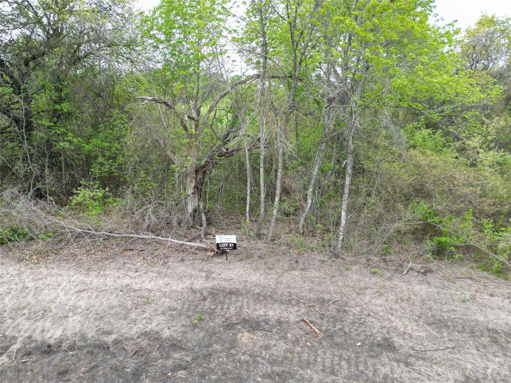 197 Fan Mill Trail - Photo 1