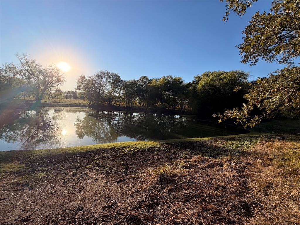 1747 Willie Dennis Road - Photo 16