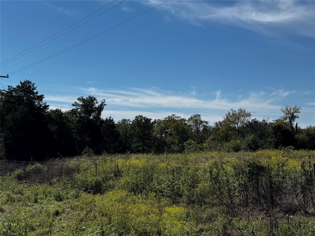 4950 FM 937 - Photo 1