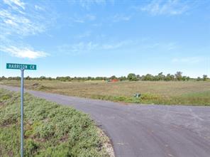 317 Harrison Circle - Photo 3