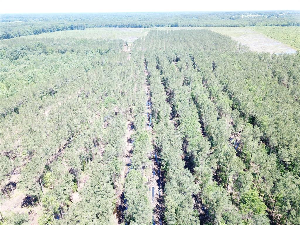 Off CR 4290 - Photo 1