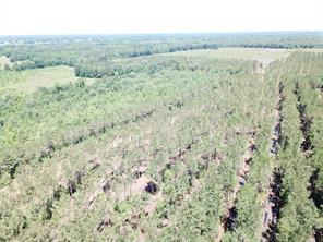 Off CR 4290 - Photo 5