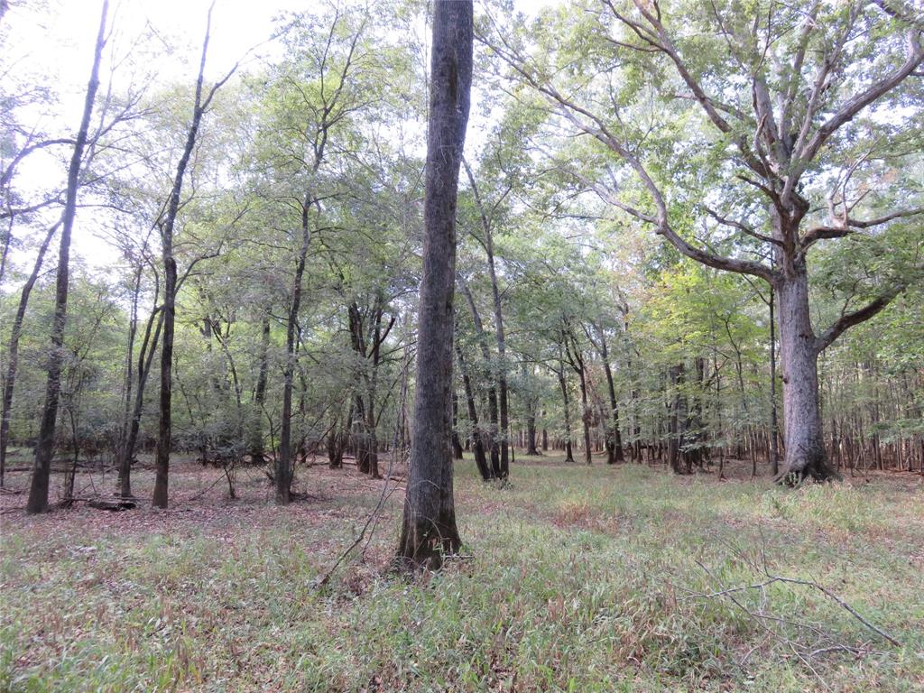 9795 Highway 59 - Photo 1