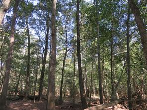 9795 Highway 59 - Photo 11