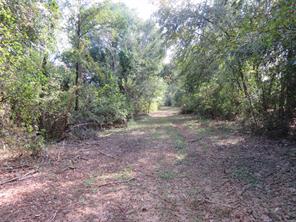 9795 Highway 59 - Photo 12