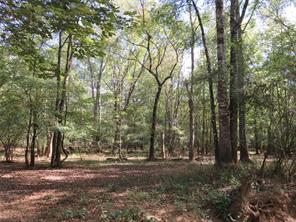 9795 Highway 59 - Photo 15