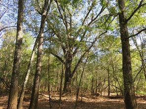9795 Highway 59 - Photo 22