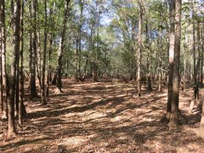 9795 Highway 59 - Photo 28