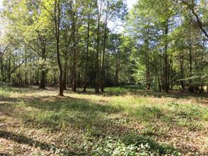 9795 Highway 59 - Photo 29