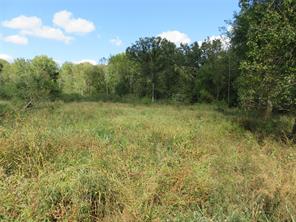 9795 Highway 59 - Photo 3