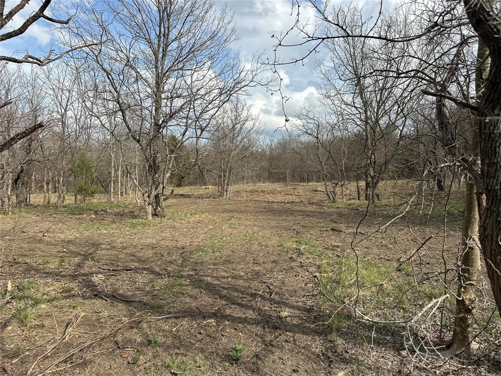 TBD Sandswitch Road - Photo 14