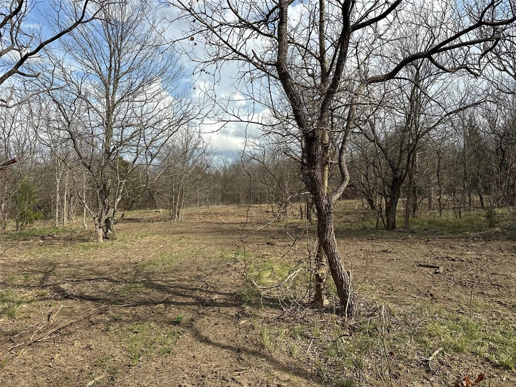 TBD Sandswitch Road - Photo 15