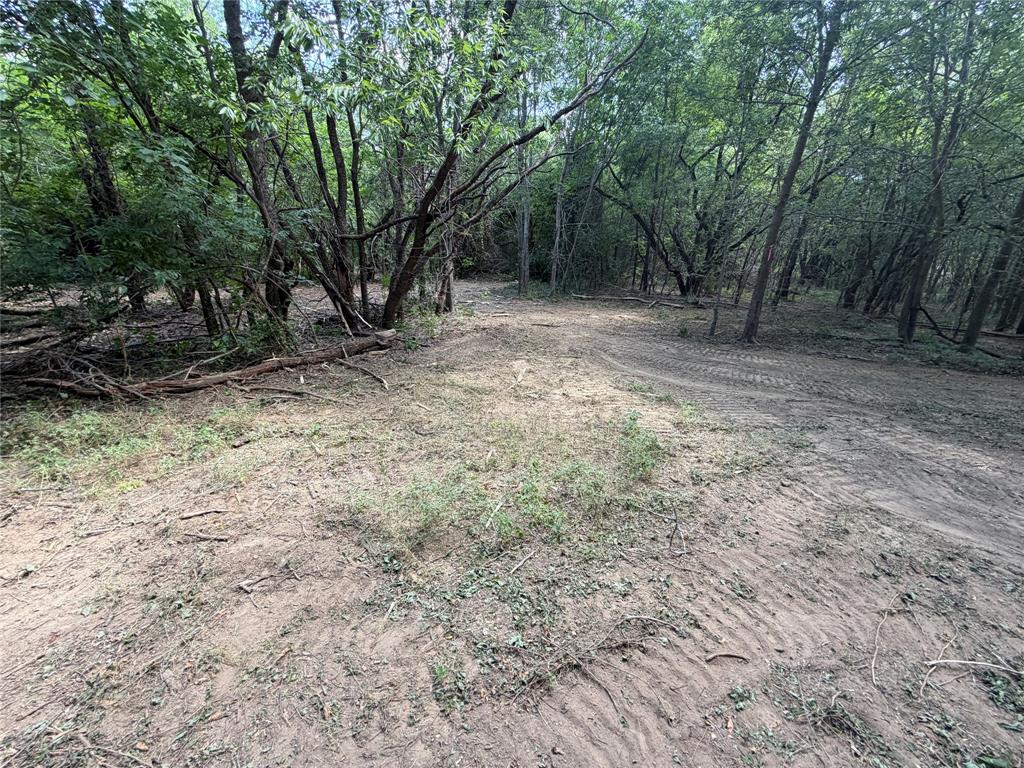 TBD Sandswitch Road - Photo 26