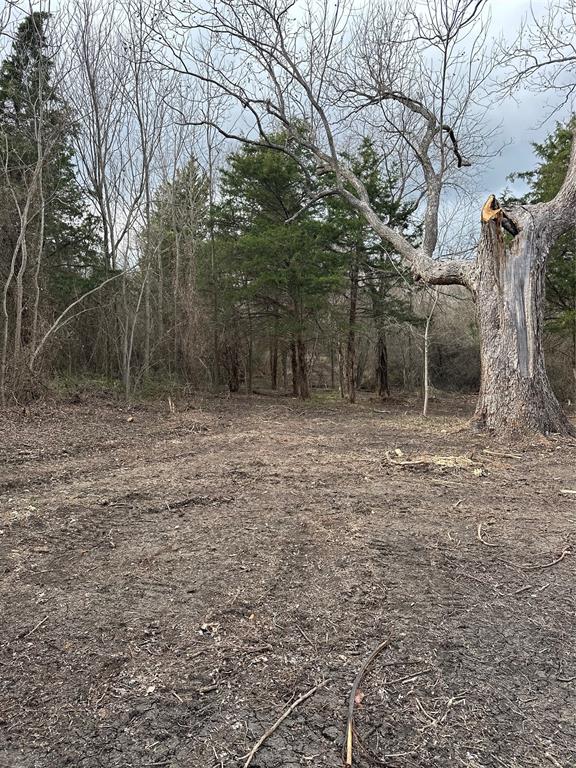 TBD Sandswitch Road - Photo 28