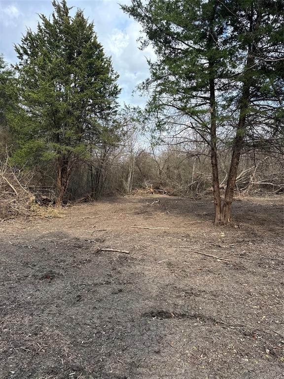 TBD Sandswitch Road - Photo 29