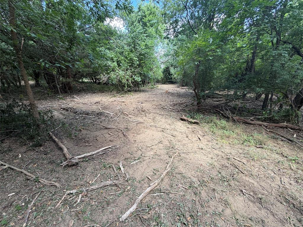 TBD Sandswitch Road - Photo 34