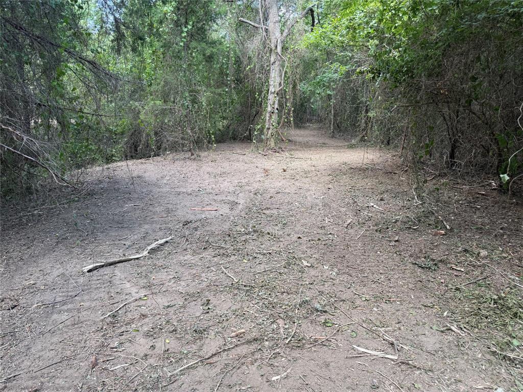 TBD Sandswitch Road - Photo 4